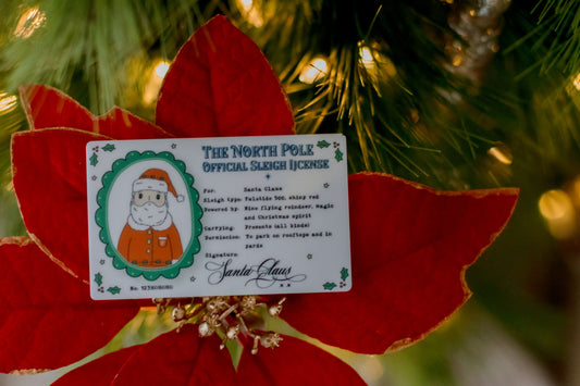 Santa's Lost Sleigh License