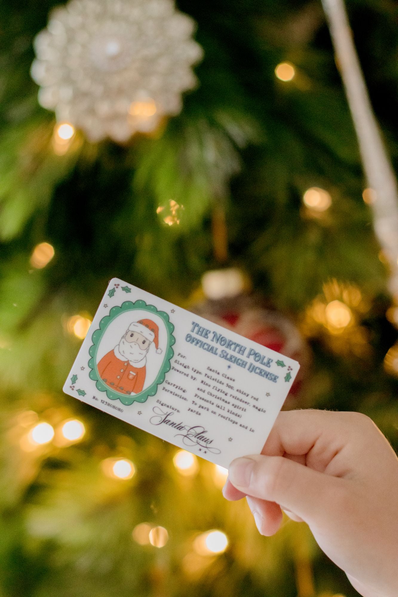 Santa's Lost Sleigh License